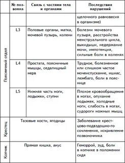 Особенности позвонков разных отделов таблица