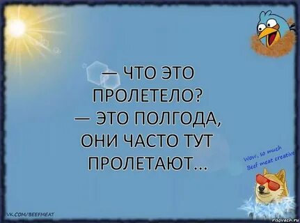 Полтора года назад купила