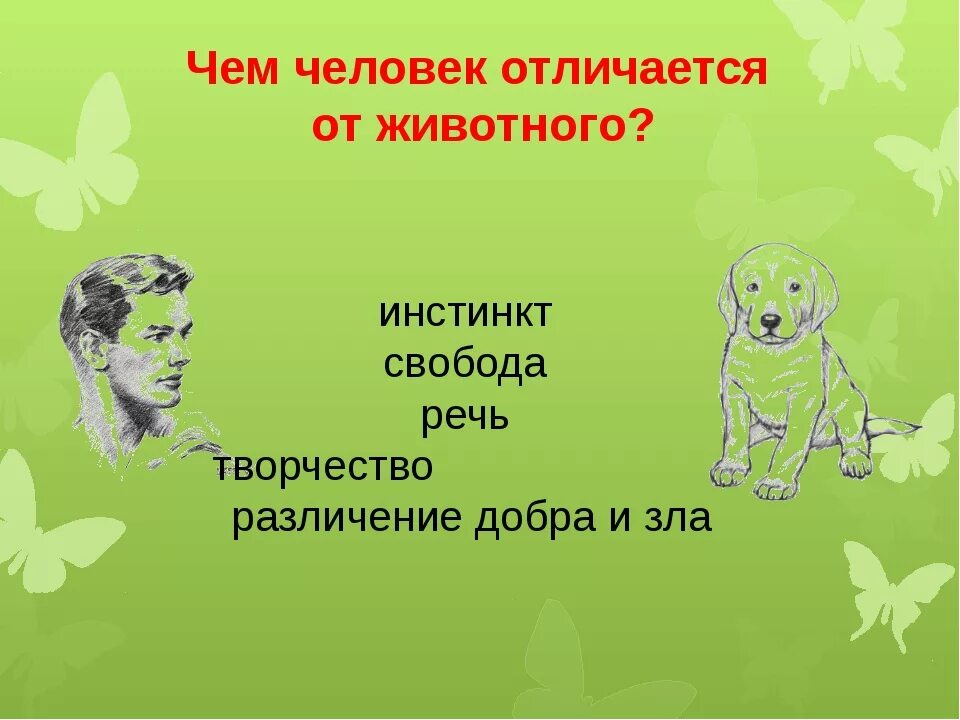 Чем человек отличается от животных. Рисунок на тему чем человек отличается от животного. Отличие человека от животных для детей. Картинки для детей чем человек отличается от животных.