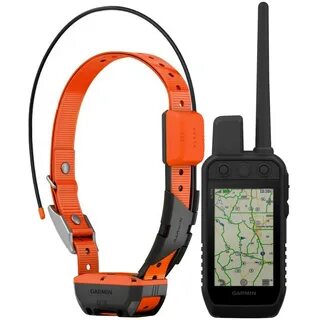 Gps ошейник для собак гармин