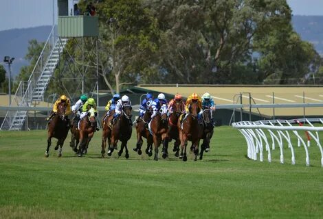 Horse race betting