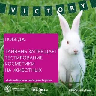 Почему запретили тесты