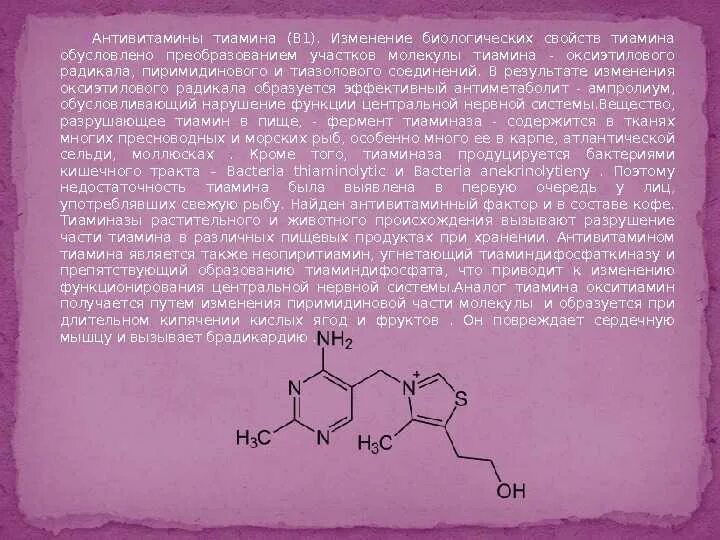 Фолиевая тиамин. Антивитамины б12. Антивитамин б6. Антивитамин витамина в12. Тиаминаза антивитамин.