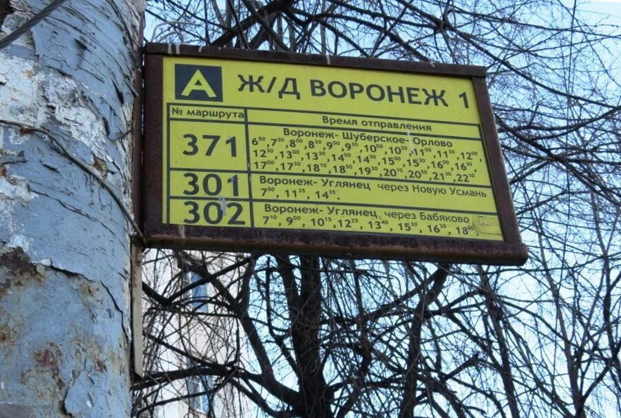 302 углянец воронеж