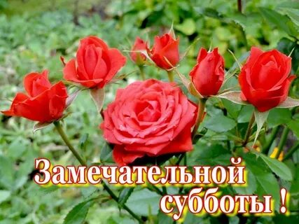 Суббота фото