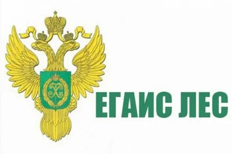 Куар код лес егаис