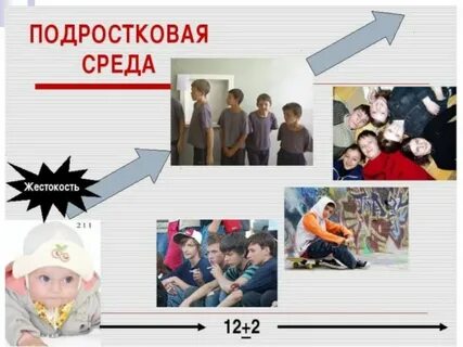 Как связаны между собой жестокость и равнодушие