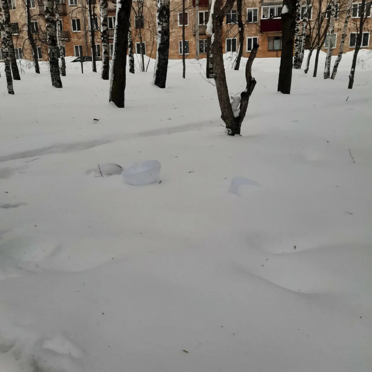 Кенилуэрт роуд. Парк урицкого площадка казань. Реконструкция еловой аллеи. Парк разбит. Новый парк в г троицке.