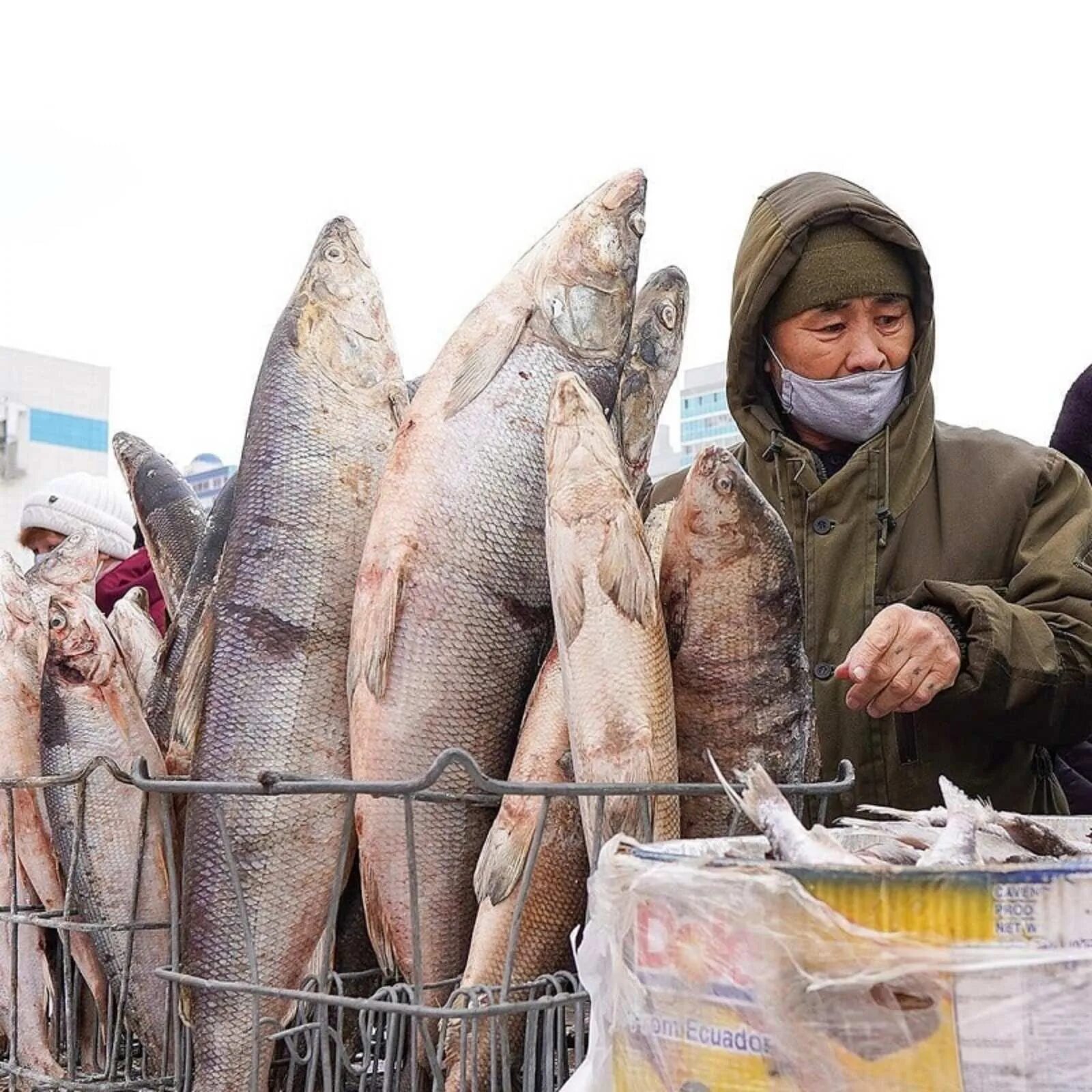 Рыба в якутске. Рыбы якутии чир муксун. Рыбы якутии. Ярмарка рыбы. Река юдома таймень.