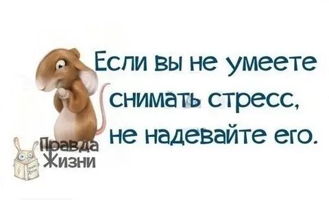 Мачеха помогает снять стресс