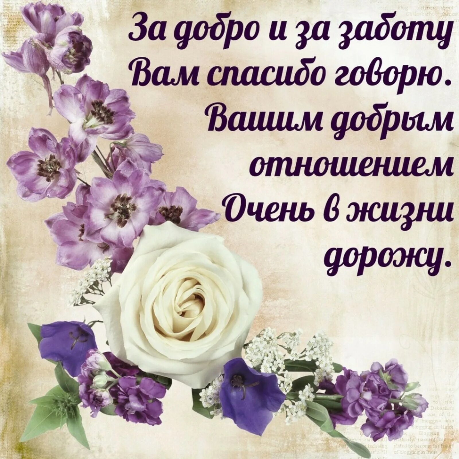Открытки с позитивными пожеланиями. Добрые пожелания хорошему человеку душевные. Открытка замечательному человеку. Красивые стихи благодарности. С днём рождения чудесному человеку.
