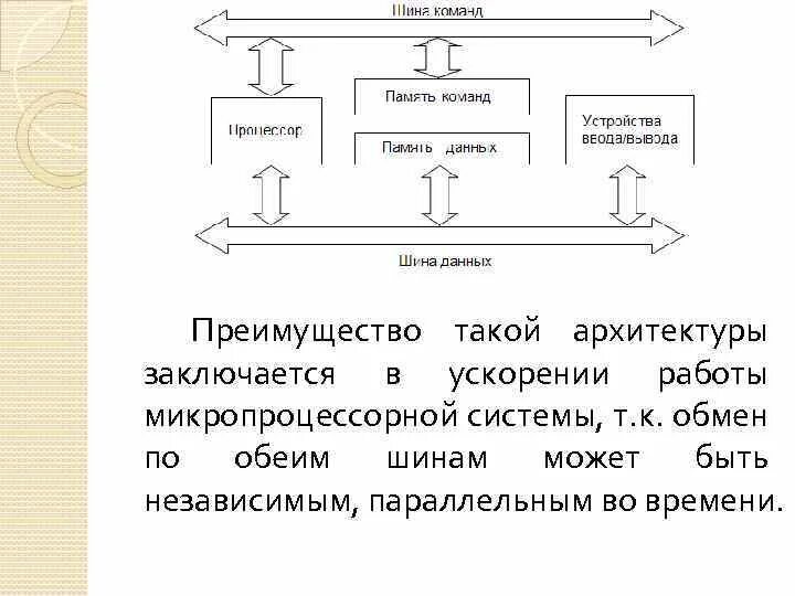 Системы т идет. Система знаний о природе. Иммунитет и иммунная система. Системы т идет. Точные и естественные науки.