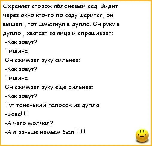 Сторож читать. Анекдоты про охранников. Сторож охраняет. Анекдот про черта и мужика. Анекдот про дупло.