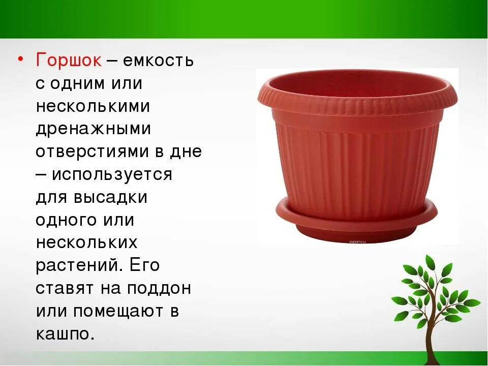 Правильный горшок. Емкость для цветов. Горшки кашпо с описанием. Презентация цветочный горшок. Презентация горшки и кашпо для комнатных растений..