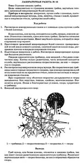 Биология 6 класс лабораторная номер 6