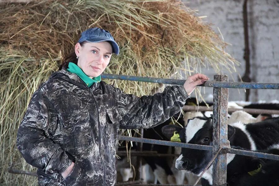 Работа в буда кошелево свежие вакансии. Как трудятся животноводы. Дрсу 184 буда-кошелёво официальный сайт. Вакансии в буда кошелево и районе на сегодня. Буда-кошелёвский район.