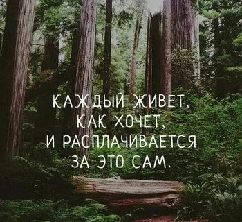 Жизнь каждый живет сам