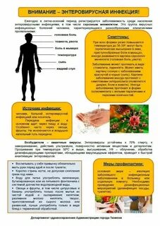 Санпин по энтеровирусной инфекции