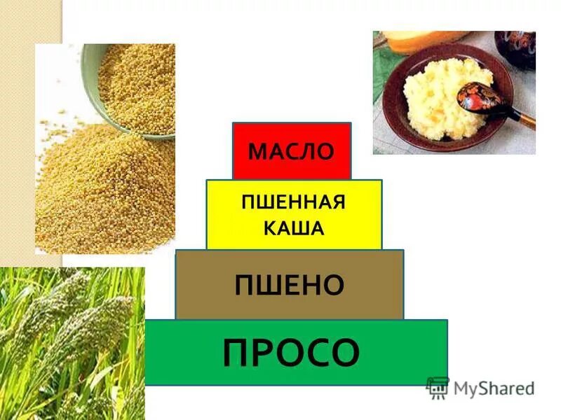 Кашу масло значение