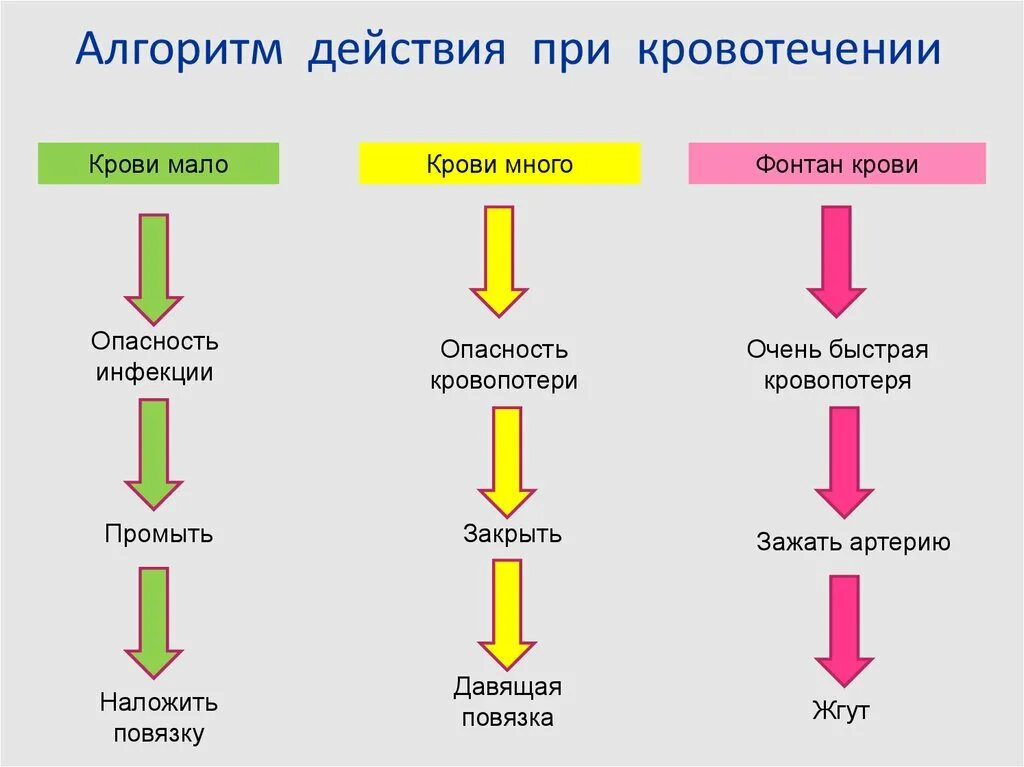 Помощь при кровотечении алгоритм действий. Алгоритм оказания первой помощи при кровотечениях. алгоритм оказания медицинской помощи при кровотечениях. алгоритм оказания первой при кровотечениях. алгоритм оказания неотложной помощи при кровотечениях.