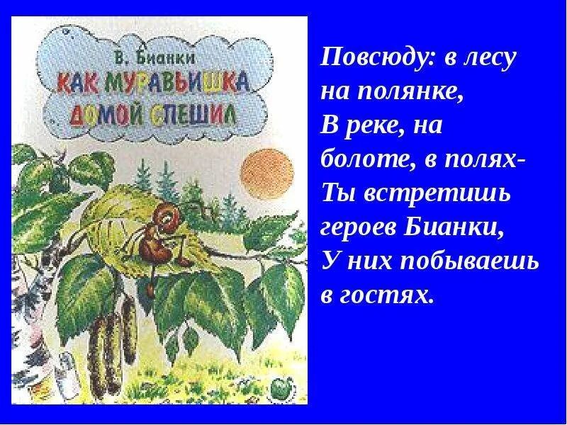 Повсюду в лесу на полянке автор