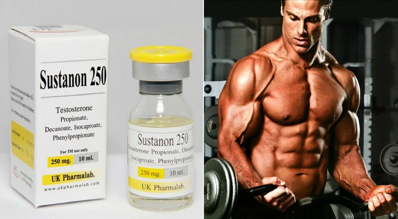 Тестостерон сустанон. Сустанон-250 в бодибилдинге для мужчин. Стероиды сустанон анаболические. Сустанон 250 ГЗТ. Что колят для мышц