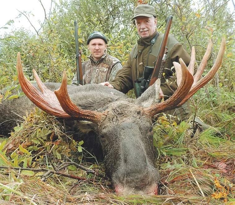 223 рем на охоте на копытных. охота на копытных в псковской области. охота на косулю в мос. охотничьи трофеи. охота в кировской области.