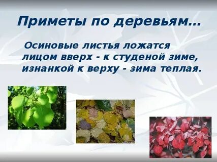 Народные приметы о погоде 2 класс