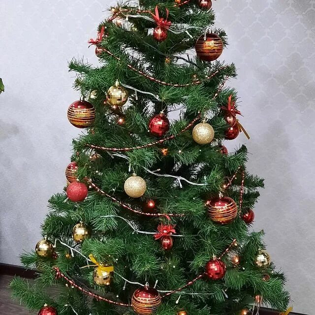 елка новогодняя наряженная. как украсить елку в двух цветах. елка с синими и серебристыми шарами. елка красно золотая. елка наряженная красно золотая.