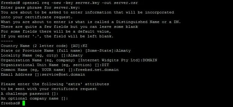 Openssl support. OPENSSL req. Chmod 600. OPENSSL OCSP. OPENSSL config yaml file.