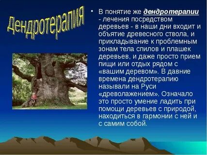 Дерево реферат