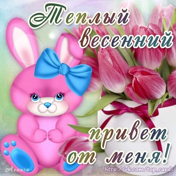 Весенний привет. Весенний привет от меня. весенний мартовский приветик. привет картинки. открытки мартовский приветик.