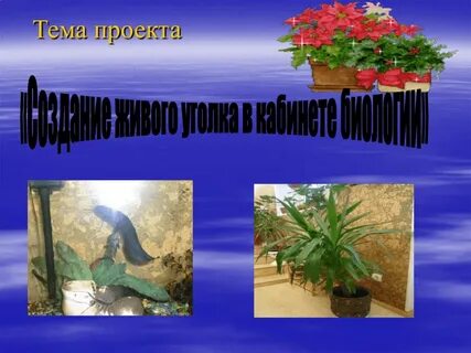 В природе нет ничего