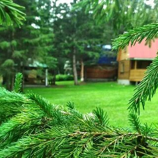 Раухова мельница