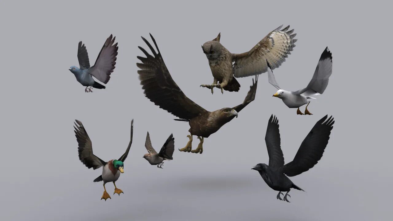 Райские птицы абстракция. Birds unity. Unity birds. 3d character animal. Angry birds unity.