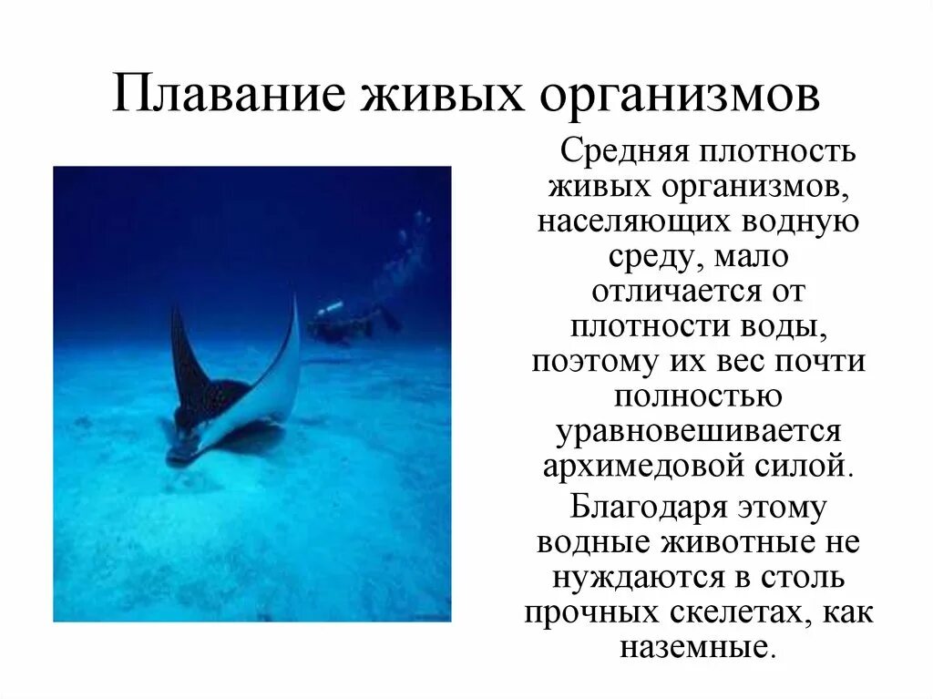 Плавающие тела физика. Плавание тел презентация. плавание тел физика 7 класс. условия плавания тел физика. условие плавания тел в физике.