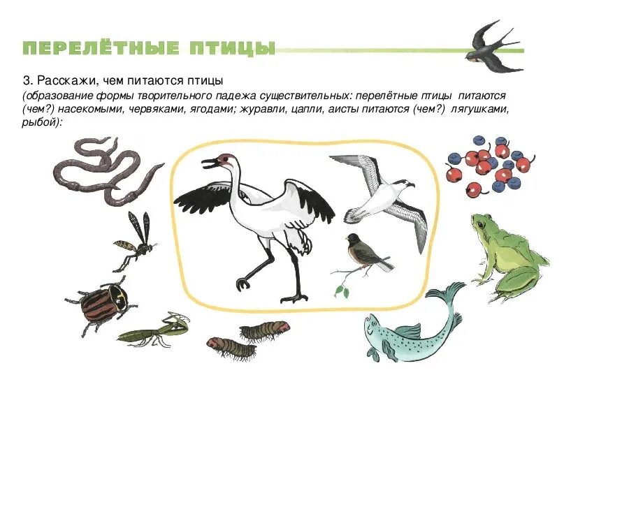 перелетные птицы задания для малышей. теремкова перелетные птицы домашнее задание. задания по лексической теме перелетные птицы для дошкольников. логопедические задания по теме перелетные птицы. лексическая тема перелетные птицы задания.