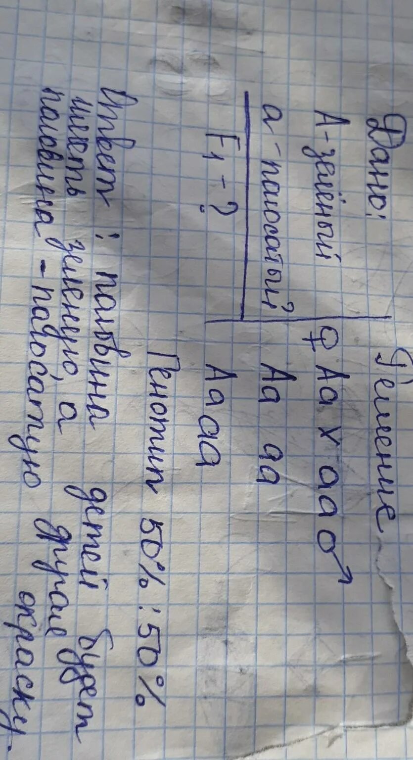 Сколько типов гамет образует растение зеленоплодного сорта