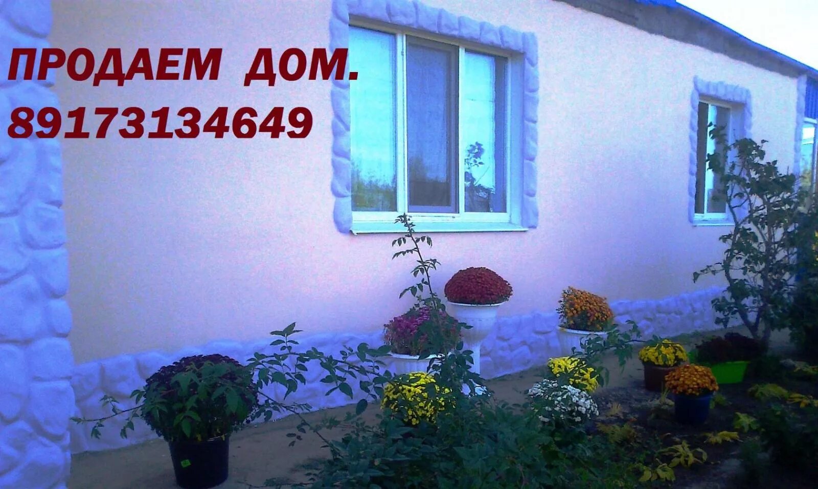 Продам дом на берегите. Квартиру в новоузенске улица трутнева дом 6.