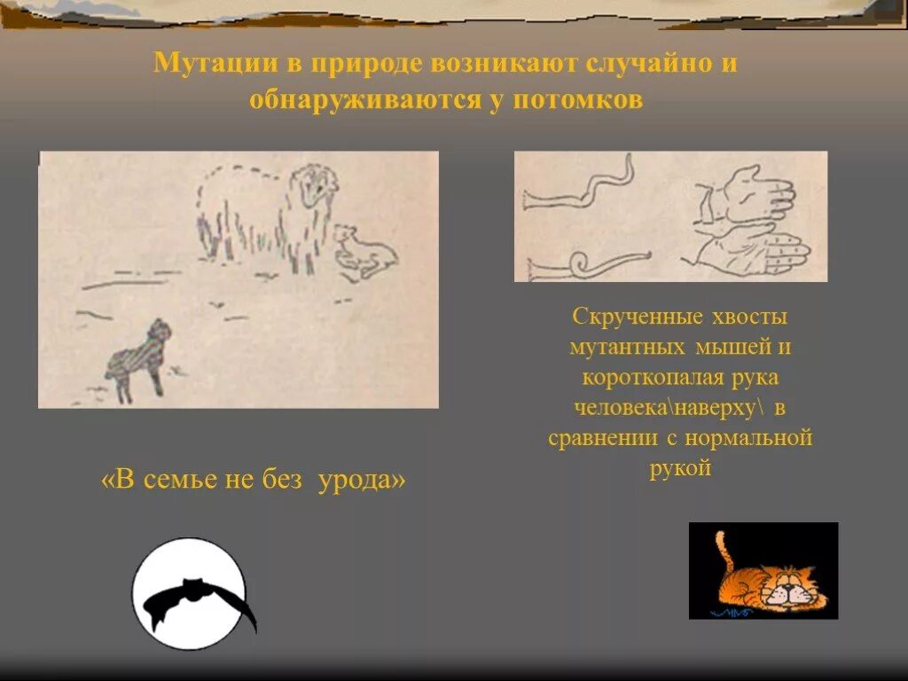 Факторы мутации. Процесс репарации днк. Виды репарации днк. Мутации презентация. Случайные стойкие изменения генотипа происходят:.