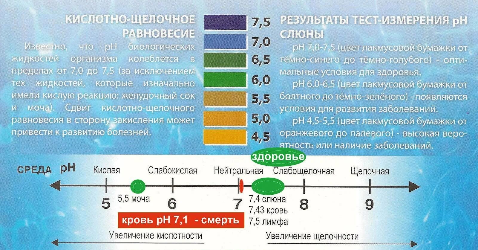 Цвета рн среды. Показатели ph кислой и щелочной среды. ph 8.5 кислотные или щелочные. ph воды кислота и щелочь. ph питьевой воды норма для человека.