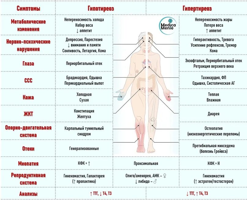 Гипотиреоз гипертиреоз таблица. Гипо и гипертиреоз таблица. Диф диагностика гипотиреоза и гипертиреоза. Различия гипо и гипертиреоза.