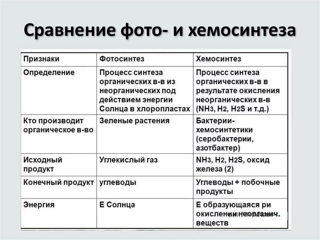 Хемосинтезирующие бактерии характеризуются. Этапы процесса фотосинтеза и хемосинтеза таблица. Сравнение процессов фотосинтеза и хемосинтеза. Характеристика процессов фотосинтеза и хемосинтеза таблица. Сходство фотосинтеза и хемосинтеза.