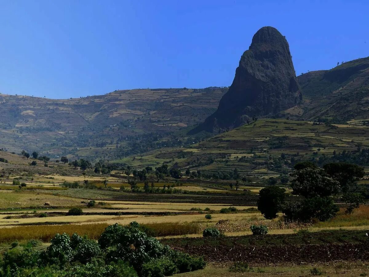 Восточное плоскогорье африки. Горы Эфиопское Нагорье. Эфиопское Нагорье Африка. Эфиопское Нагорье климат. Эфиопия гора рас-Дашен.