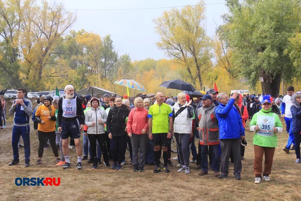 Кросс наций Орск. Орск ру. Орск.ру главный спорт. Орск ру новости в орске свежие