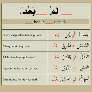 Турецкий и арабский языки