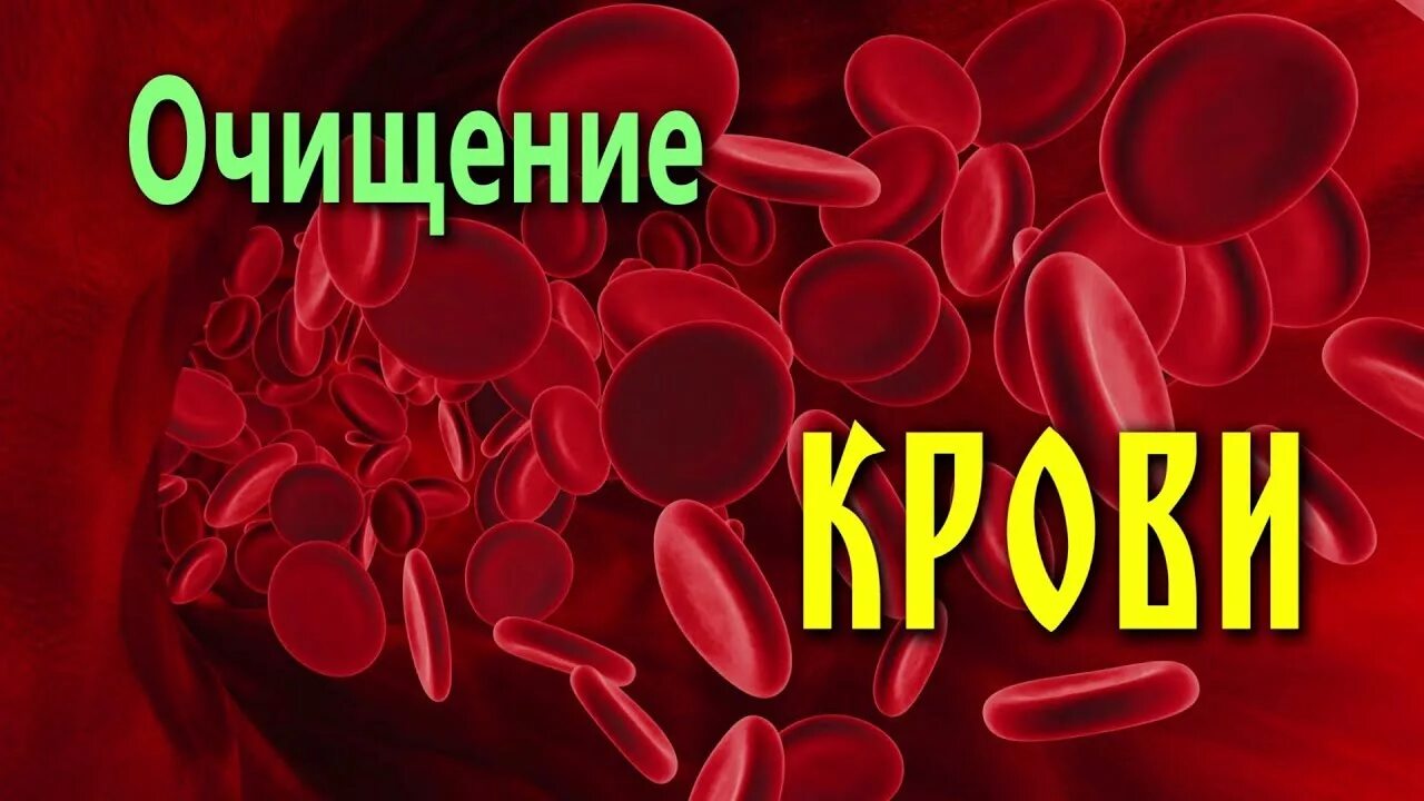 Как очищается кровь. Очистка крови от токсинов. Чистка крови от вирусов.