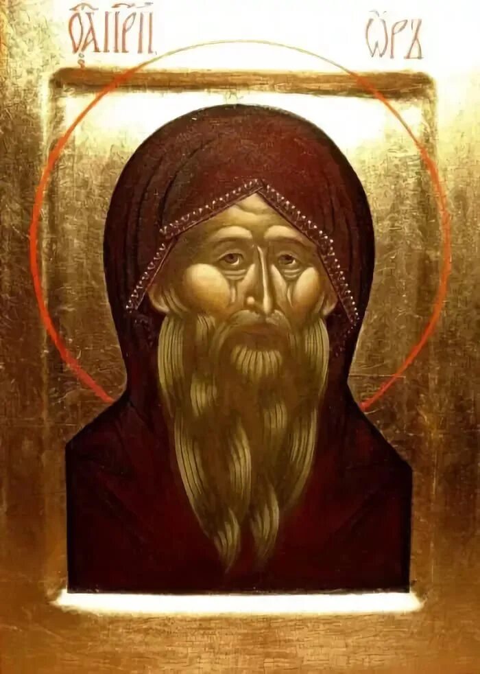 Св ор