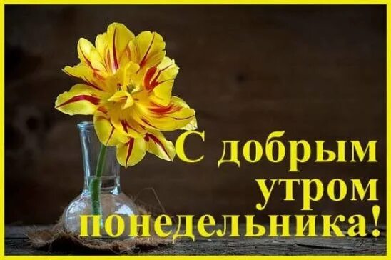Доброе утро понедельника картинки позитивные пожелания. Сдобрым утро понедельника. Открытки с добрым утром понедельника прикольные. Доброе утро понедельника картинки позитивные пожелания. Открытки с добрым понедельником.