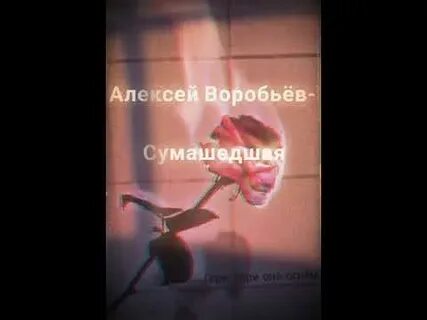 Воробей песня я тебя люблю